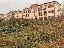 Terreno 1093 mq, zona Cologna Veneta
