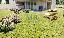 Appartamento 140 mq, 3 camere, zona Abano Terme