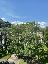 Appartamento 116 mq, 3 camere, zona Vittoria - Mazzini