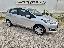 FORD Fiesta 1.5 TDCi 75 CV 5p. Business
