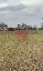 Terreno 11200 mq, zona Sant'Angelo in Salute