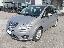 Lancia musa ecochic gpl