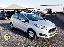 FORD Fiesta 1.2 82 CV 5p. Black & White Ed.