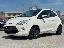 FORD Ka+ 1.2 8V 69 CV