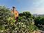 Villa 385 mq, soggiorno, 8 camere, zona Arquà Petrarca