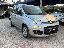 FIAT Panda 1.2 EasyPower Easy