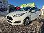 FORD Fiesta 1.5 TDCi 75 CV 5 porte